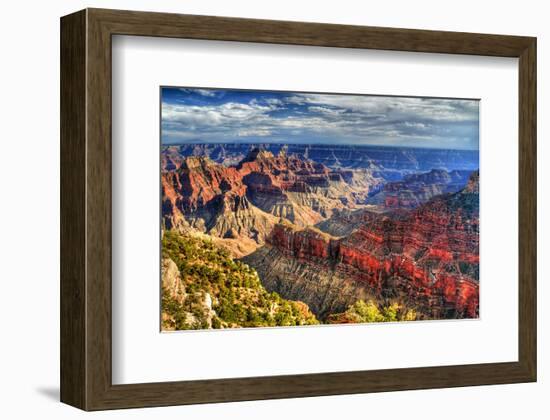 Grand Canyon North Rim Arizona-null-Framed Art Print