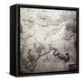 Grand Canyon of Colorado and Utah - Panoramic Map-Lantern Press-Framed Stretched Canvas