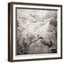 Grand Canyon of Colorado and Utah - Panoramic Map-Lantern Press-Framed Art Print