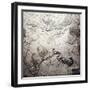 Grand Canyon of Colorado and Utah - Panoramic Map-Lantern Press-Framed Art Print