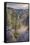 Grand Canyon of the Yellowstone Sunset, Wyoming-Vincent James-Framed Stretched Canvas