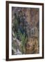 Grand Canyon of the Yellowstone, Yellowstone National Park, Wyoming, USA-Roddy Scheer-Framed Photographic Print