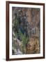 Grand Canyon of the Yellowstone, Yellowstone National Park, Wyoming, USA-Roddy Scheer-Framed Photographic Print