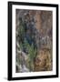 Grand Canyon of the Yellowstone, Yellowstone National Park, Wyoming, USA-Roddy Scheer-Framed Photographic Print