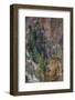 Grand Canyon of the Yellowstone, Yellowstone National Park, Wyoming, USA-Roddy Scheer-Framed Photographic Print