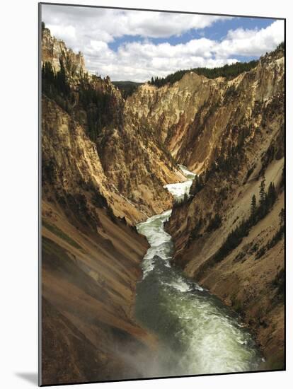 Grand Canyon of the Yellowstone, Yellowstone River, Yellowstone National Park, Wyoming, USA-Michel Hersen-Mounted Premium Photographic Print