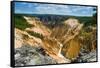 Grand Canyon of Yellowstone-Howard Ruby-Framed Stretched Canvas