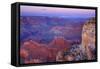 Grand Canyon Panoramic View from Yavapai Point-null-Framed Stretched Canvas
