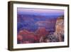 Grand Canyon Panoramic View from Yavapai Point-null-Framed Photographic Print