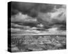 Grand Canyon Powell Point Black and White I-Danny Burk-Stretched Canvas
