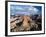 Grand Canyon Seen from the South Rim, Arizona, USA-Adam Jones-Framed Photographic Print