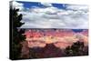 Grand Canyon Skies-Douglas Taylor-Stretched Canvas