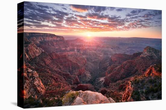 Grand Canyon View-Stefan Hefele-Stretched Canvas