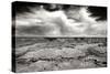 Grand Canyon Winds BW-Douglas Taylor-Stretched Canvas