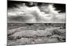 Grand Canyon Winds BW-Douglas Taylor-Mounted Photographic Print