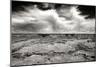 Grand Canyon Winds BW-Douglas Taylor-Mounted Photographic Print