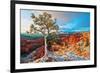 Grand Canyon - Winter Sunrise-null-Framed Premium Giclee Print