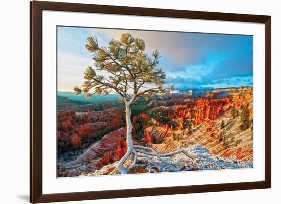 Grand Canyon - Winter Sunrise-null-Framed Premium Giclee Print