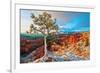 Grand Canyon - Winter Sunrise-null-Framed Premium Giclee Print