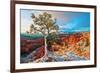 Grand Canyon - Winter Sunrise-null-Framed Premium Giclee Print