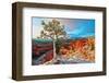 Grand Canyon - Winter Sunrise-null-Framed Art Print