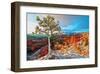 Grand Canyon - Winter Sunrise-null-Framed Art Print