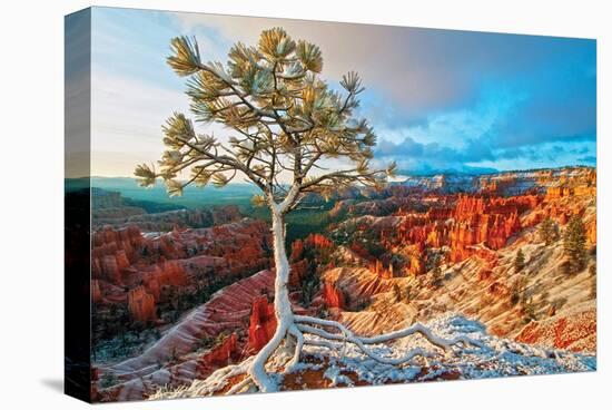 Grand Canyon - Winter Sunrise-null-Stretched Canvas