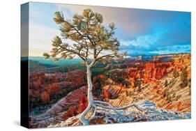 Grand Canyon - Winter Sunrise-null-Stretched Canvas