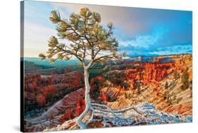Grand Canyon - Winter Sunrise-null-Stretched Canvas
