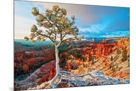 Grand Canyon Winter Sunrise-null-Mounted Poster