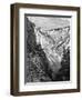 Grand Canyon, Yellowstone National Park, USA, 19th Century-Taylor-Framed Giclee Print
