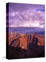 Grand Canyon-Bill Ross-Stretched Canvas