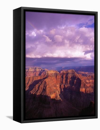 Grand Canyon-Bill Ross-Framed Stretched Canvas