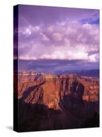 Grand Canyon-Bill Ross-Stretched Canvas