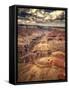 Grand Canyon-Andrea Costantini-Framed Stretched Canvas