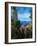 Grand Canyon-Gordon Semmens-Framed Photographic Print