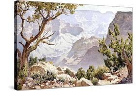 Grand Canyon-Gunnar Widforss-Stretched Canvas