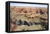 Grand Canyon-null-Framed Stretched Canvas