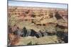 Grand Canyon-null-Mounted Art Print