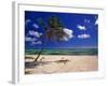 Grand Cayman Beach With A Palm Tree-George Oze-Framed Photographic Print
