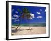 Grand Cayman Beach With A Palm Tree-George Oze-Framed Photographic Print