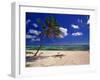 Grand Cayman Beach With A Palm Tree-George Oze-Framed Photographic Print