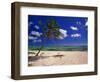 Grand Cayman Beach With A Palm Tree-George Oze-Framed Photographic Print