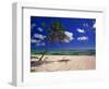 Grand Cayman Beach With A Palm Tree-George Oze-Framed Photographic Print