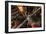 Grand Central New York-Bruce Getty-Framed Photographic Print