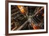 Grand Central New York-Bruce Getty-Framed Photographic Print