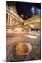 Grand Central Station 1-Moises Levy-Mounted Photographic Print