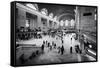 Grand Central Station - 42nd Street - Manhattan - New York City - United States-Philippe Hugonnard-Framed Stretched Canvas