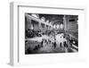 Grand Central Station - 42nd Street - Manhattan - New York City - United States-Philippe Hugonnard-Framed Premium Photographic Print