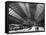 Grand Central Station, New York City, 19th Century-null-Framed Stretched Canvas